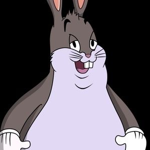 Meet your Posher, Diego